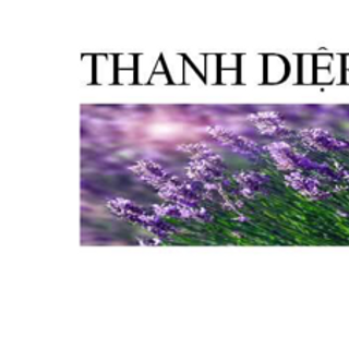 Tinh dầu oải hương lavender 10ml