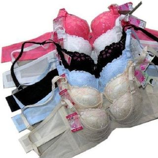 Giá sỉ đồ lót perry diep