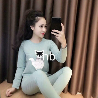 Bộ cú mèo