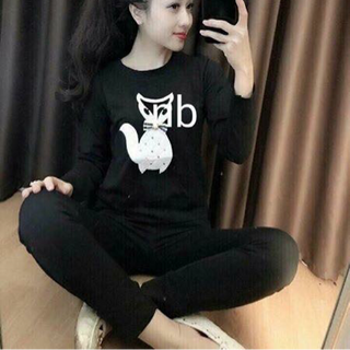 Bộ cú mèo