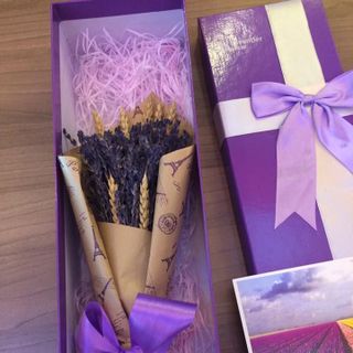 Hoa oải hương lavender pháp