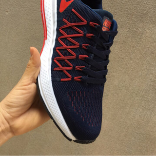 Nike pegasu 30