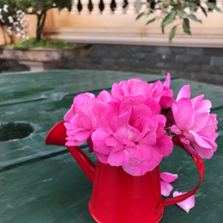 Bình thiếc mạ kẽm