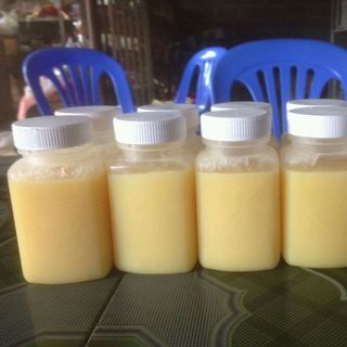 Sữa ong chúa nguyên chất