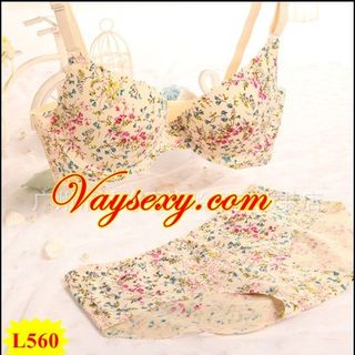 Đồ lót bộ