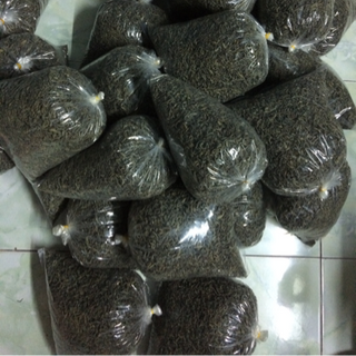 Trà bắc