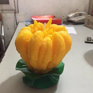 Nến phật thủ