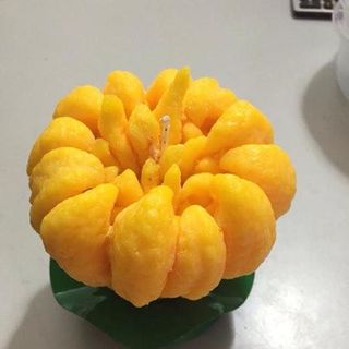 Nến phật thủ