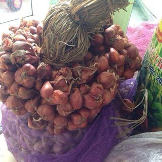 Hành khô hành sấy
