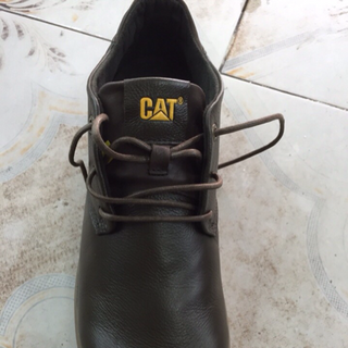 Giầy cat dáng trẻ khỏe màu cực đẹp hàng auth full box sz từ 41-44