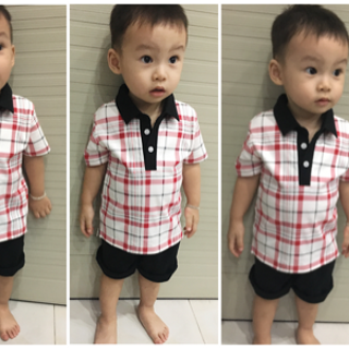 Bộ sọc cổ trai