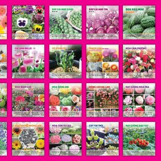 Tuyển đại lý bán buôn hạt giống các loại
