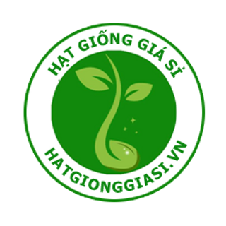 Hạt giống củ qủa hạt giống rau bán sỉ