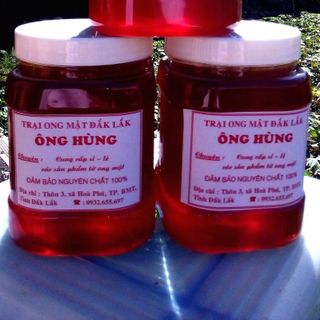 Mật ong ong hung đăk lăk giá sỉ