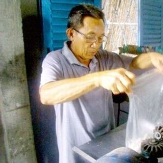 Bánh phồng tôm cà mau