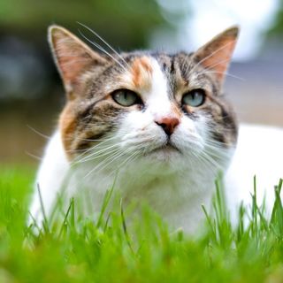 San pham test 20170116-1