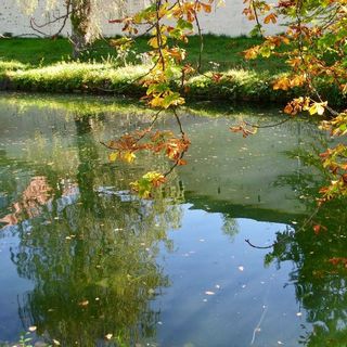 San pham test 20170116-1