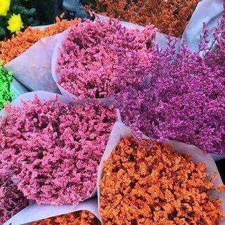 Hoa sao về bày tết đảm bảo đẹp sang bền