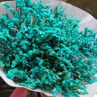 Hoa sao về bày tết đảm bảo đẹp sang bền