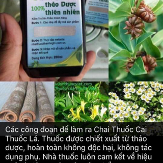 Cai thuốc lá thầy lang nghị