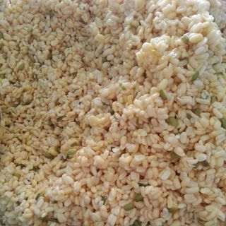 Bánh chưng bắc - thái bình