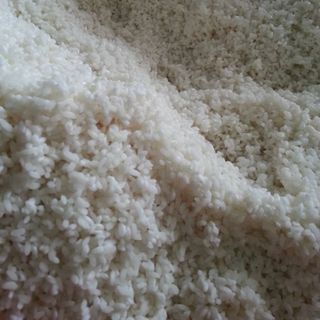 Bánh chưng bắc - thái bình