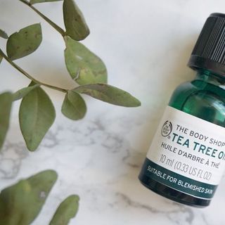 Trị mụn tea tree oil 10ml