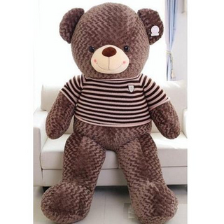 Gấu teddy