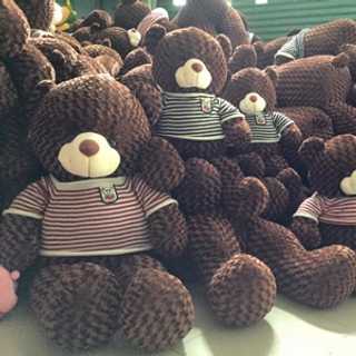 Gấu teddy