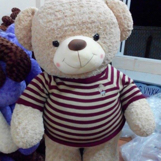 Gấu teddy