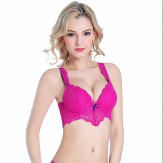 Set vic perfect ren leo