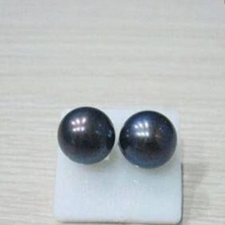 Hoa tai ngọc trai nụ