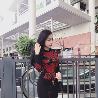 đầm body tay dài in hoa 3d