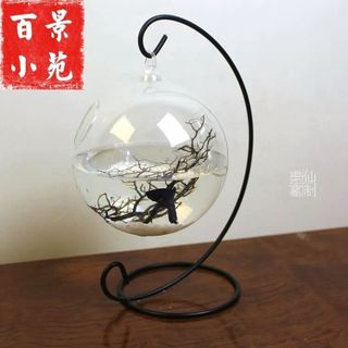Bể cá treo mini để bàn