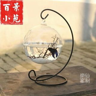 Bể cá treo mini để bàn