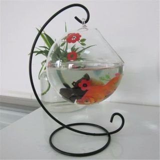 Bể cá treo mini để bàn