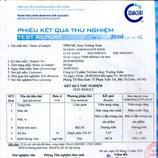 Atiso trường xuân