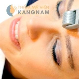 Kim lăn trị sẹo chăm sóc da demaroler zgts 540-192 đầu kim