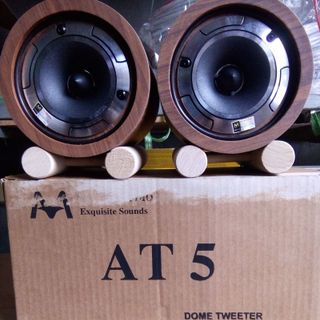 Bộ 2 loa siêu tép at 5