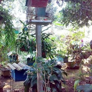 Mật ong quỳ hợp nghệ an