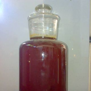 Mật ong quỳ hợp nghệ an