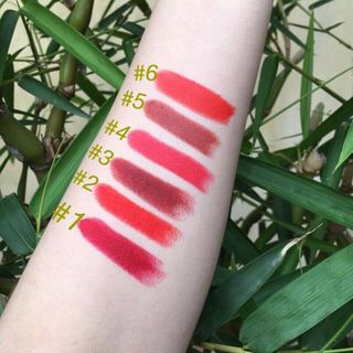 Son the skin botte lipstick