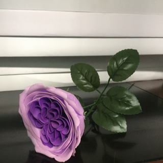 Bông hồng sáp hàn