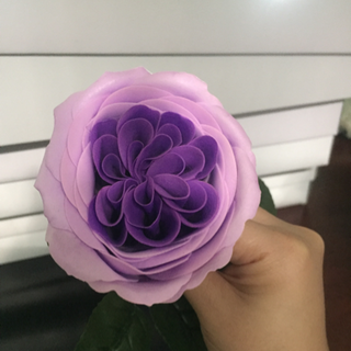 Bông hồng sáp hàn