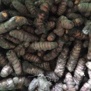 Tinh bột nghệ nếp nghệ an