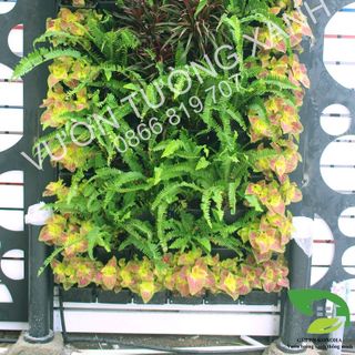Modul trồng cây hoa rau