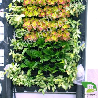 Modul trồng cây hoa rau