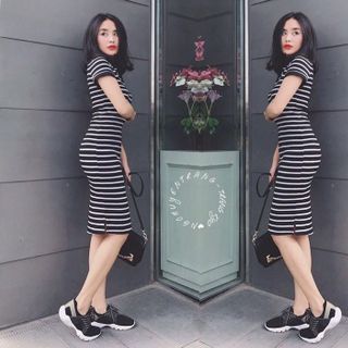 Đầm body sọc cổ sơmi