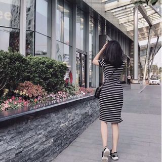 Đầm body sọc cổ sơmi