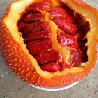 tinh chất hồng môi handmade